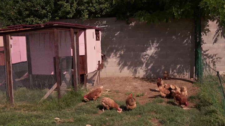 Bez servítky - Klaudia